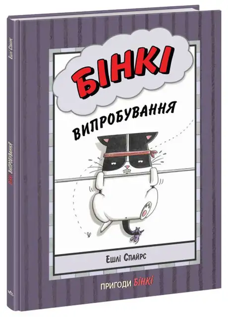 Книга «Бінкі. Випробування», автор Ешлі Спайрс