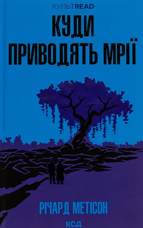 Книга «Куди приводять мрії», автор Річард Метісон