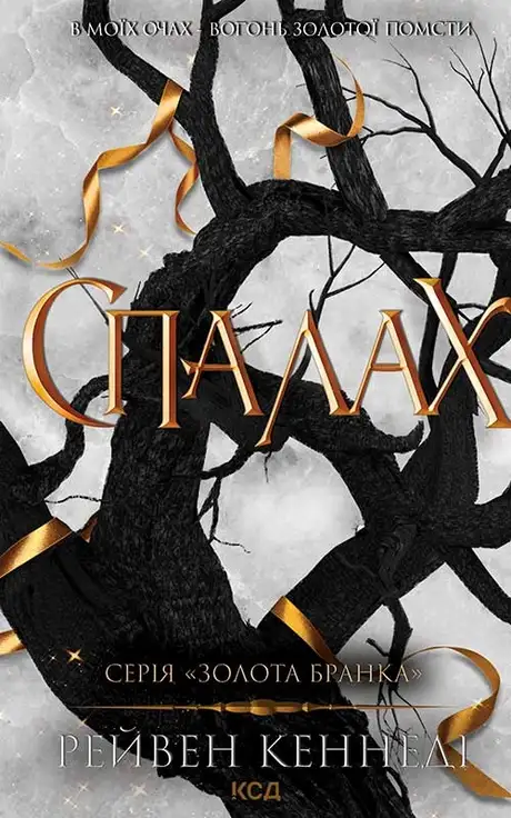 Електронна книга «Спалах. Книга 3», автор Рейвен Кеннеді