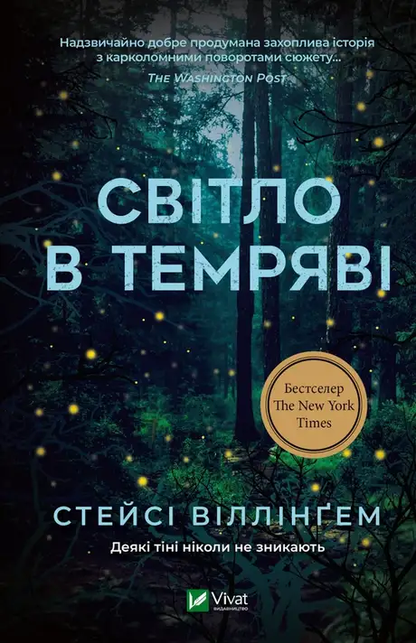 Електронна книга «Світло в темряві», автор Стейсі Віллінгем