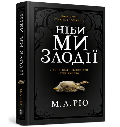Книга «Ніби ми злодії», автор М. Л. Ріо