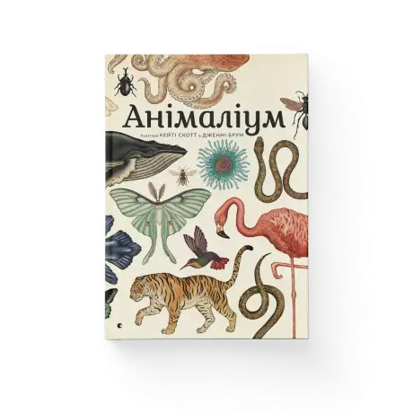 Книга «Анімаліум», автор Дженні Брум
