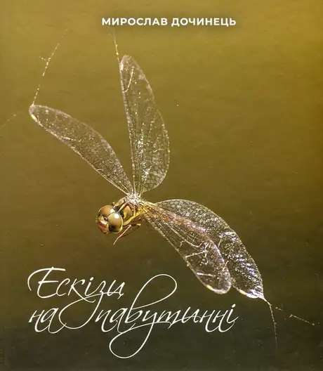 Книга «Ескізи на павутинні», автор Мирослав Дочинець