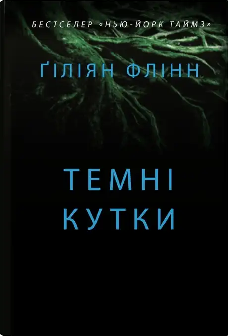 Книга «Темні кутки», автор Гіліян Флінн